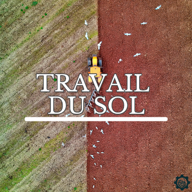 Logo travail du sol